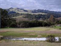 img_001_0285_289  Windy Hill in winter.JPG