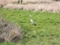 IMG_1189.JPG