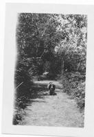 CAT-032p_TIF_MSTR.tif