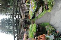 DSC_0290.jpg