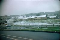 1961 J H Clark - Sequoias - looking SW to main bldgs [Jan 72].jpg