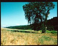 DEN-032c2p_TIF_MSTR.tif