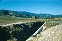 Sequoias collection - laying drain pipe - [Feb 1959].jpg