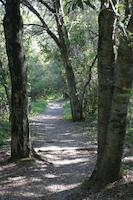 IMG_7172.JPG
