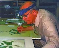 HER-033c2d artist at work.jpg