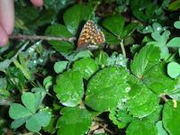 DSCN3218.JPG
