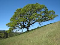 IMG_1420.JPG