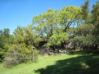 IMG_1446.JPG