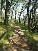 IMG_1412.JPG