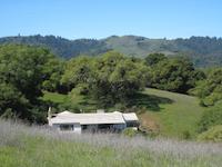 Woods'estate to the ridge.JPG