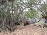 P2047363_backyard.jpg