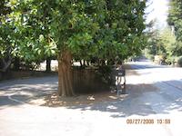 IMG_0576.JPG