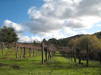 Portola Valley Ranch, CA.JPG