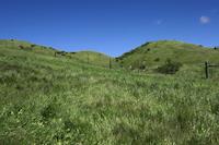 Woods estae hills.jpg