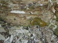 DSCN3108.JPG