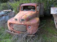 IMG_0200.jpg