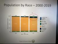 PV Population by Race.jpg