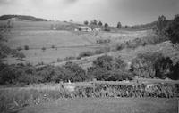 SCE-072p_TIF_MSTR.tif