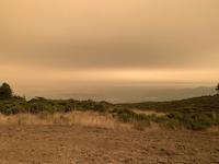Reynolds, Noon Sept9 from Windy Hill.jpg