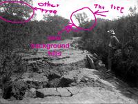 Annotated_pict.jpg