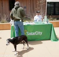 20110416-_DSC7780-42.jpg