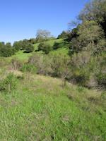 img_001_0192_277  View frm Arroyo Trail.jpg