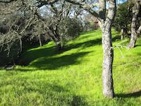 IMG_1221.JPG