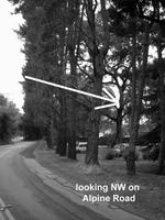 Lookng_NW_other_tree.JPG