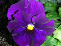 DSCN2209.JPG