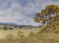 Portola Valley  Hay fields(P).tif