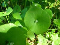 DSCN2940.JPG