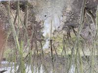 Daylighted Sausal Creek at Town Center.jpg