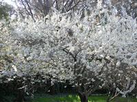 DSCN2909.JPG