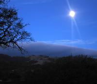 Moonlight Windy Hill.jpg
