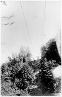 HAL-065d_JPG_MSTR.jpg