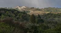 SCE-082d WindyHillSnow.jpg