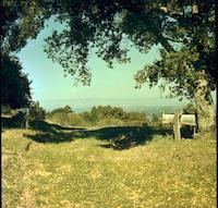 008 maybe Lauriston entry road from Skyline Blvd color r.jpg