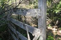 IMG_7170.JPG