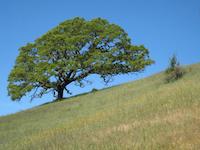 IMG_1418.JPG