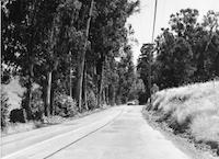 ROA-009p_TIF_MSTR.tif