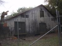 P2047365_backyard.jpg