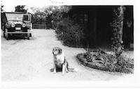 CAT-009c1p_TIF_MSTR.tif