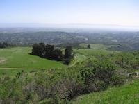 Windy Hill__9216.JPG