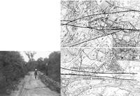 geo maps comp.jpg