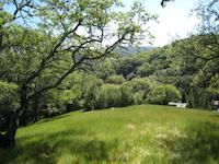 IMG_1408.JPG