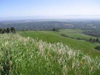 Windy Hill__9212.JPG