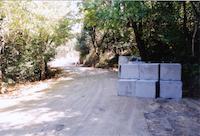ALP-013p_TIF_MSTR.tif
