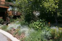 img_001_0133_221  Residence landscaping.jpg