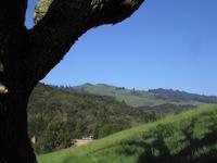 img_001_0097_183  grass slope.jpg
