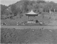 BOR-003c1p_TIF_MSTR.tif